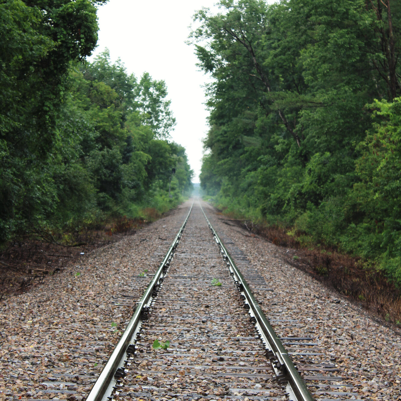 Railroad Tracks-2